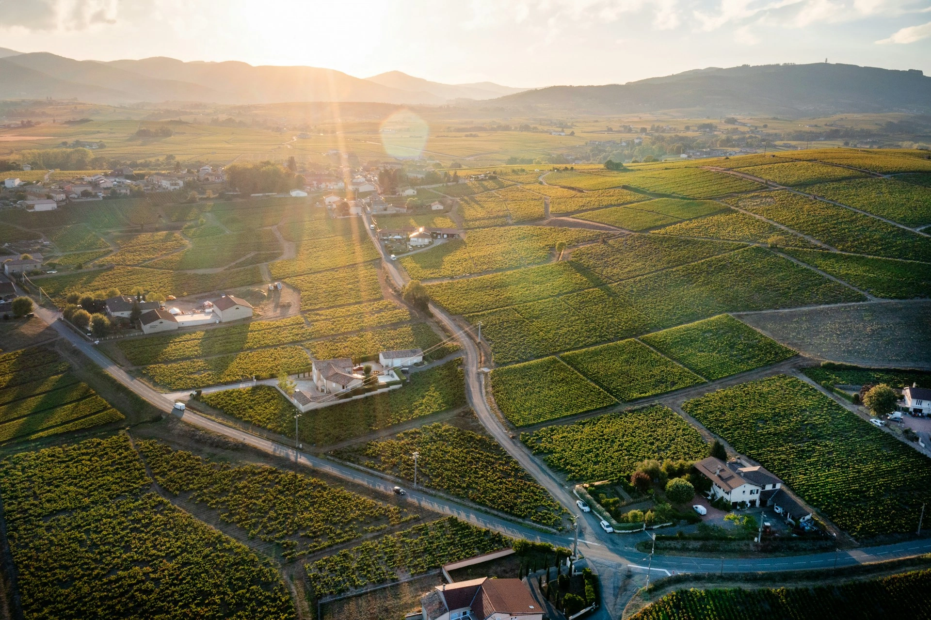 Pourquoi communiquer en tant que Vigneron ? image