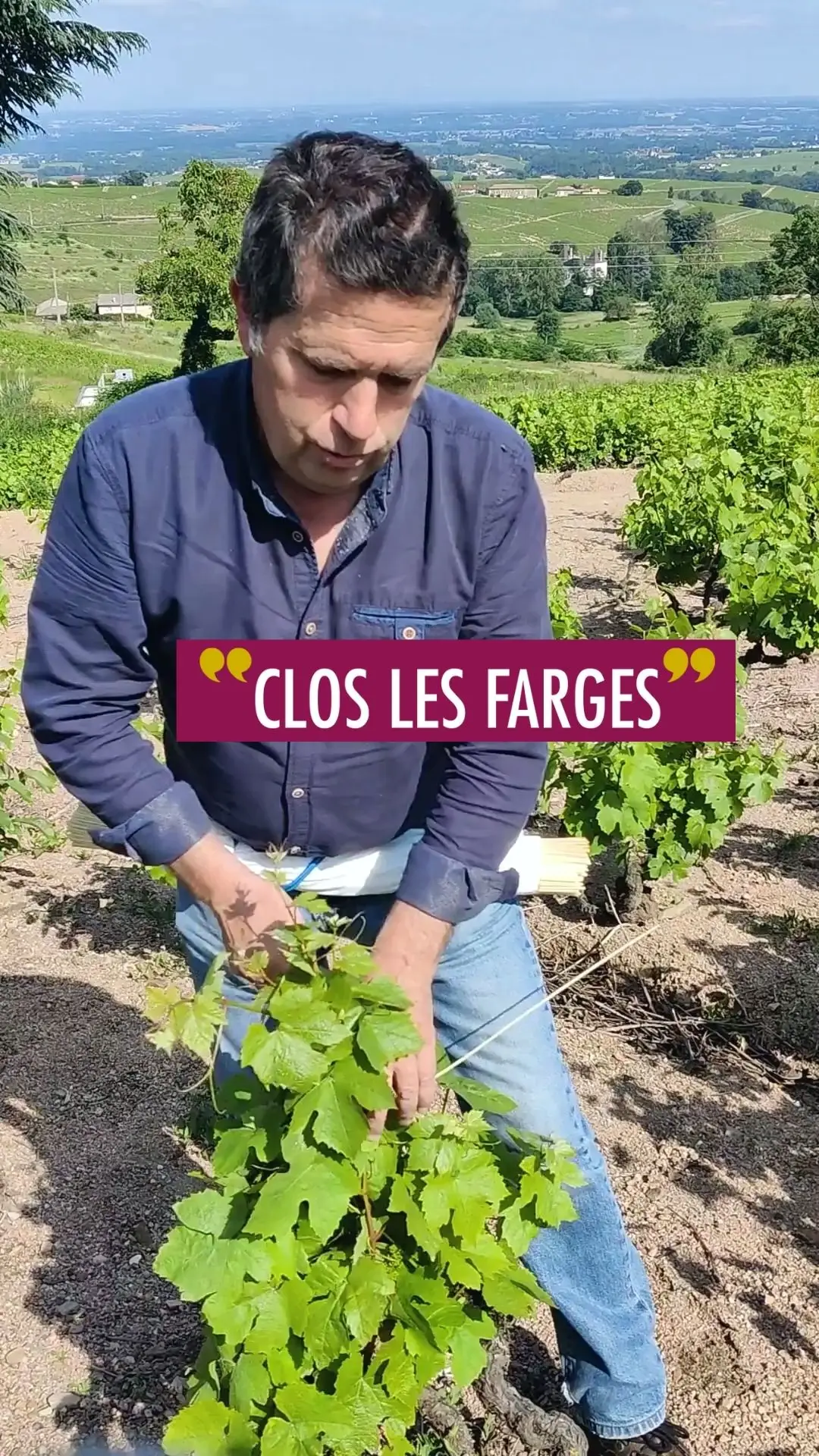 Image cru-chiroubles #02